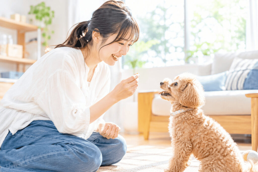 おやつを使ってドッグトレーニングをする女性